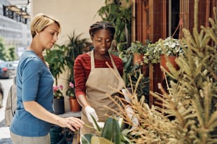 Mid adult woman choosing house plants with help of African American female florist at flower shop. Focus is on florist.