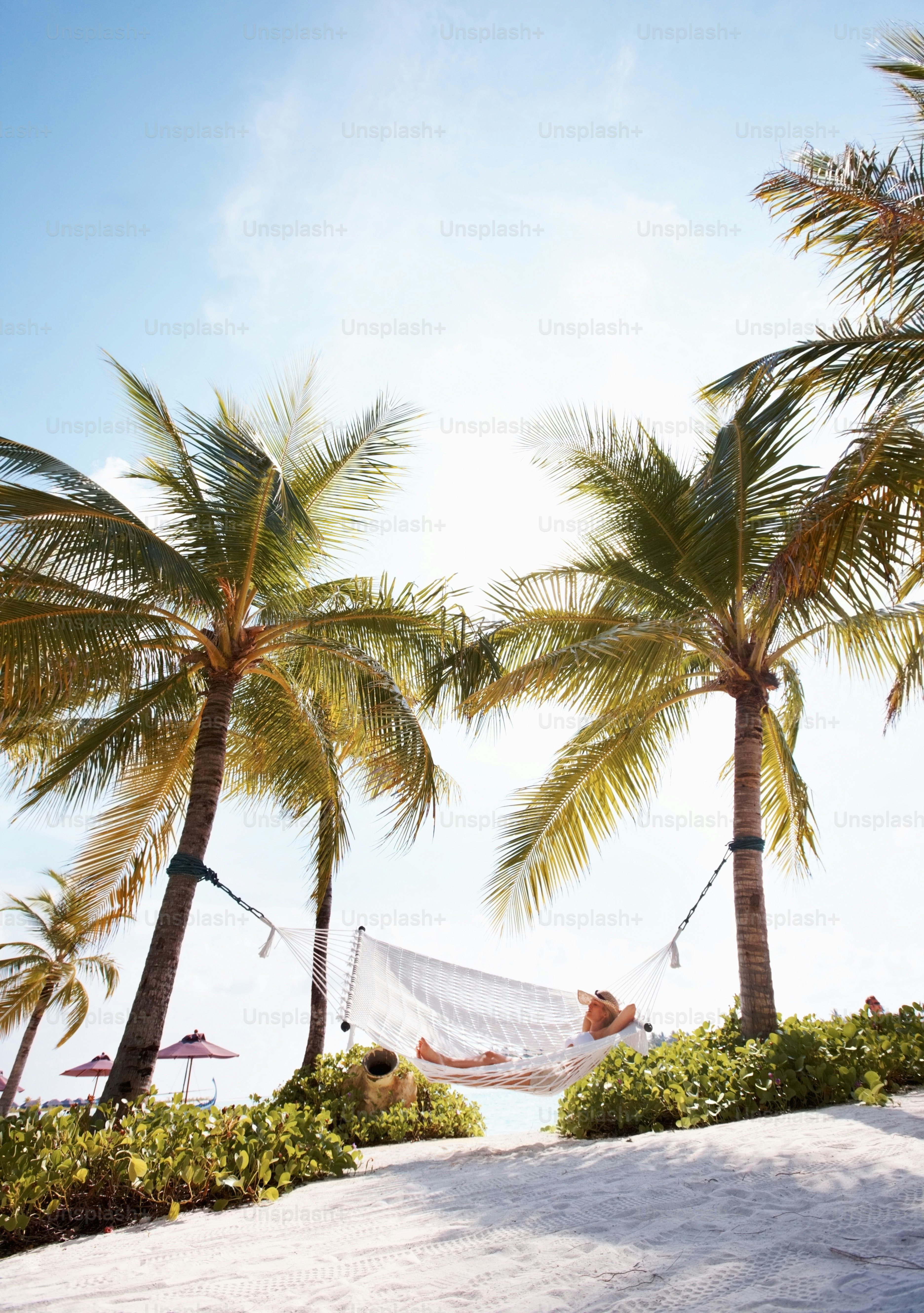 a hammock between two palm trees on a beach