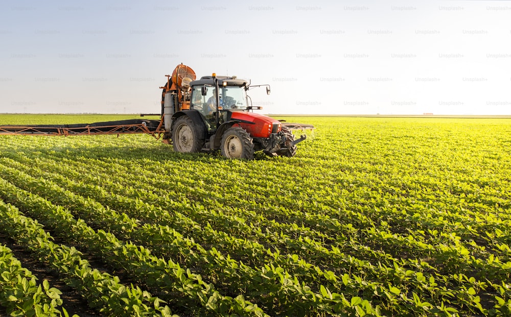 Tractor spraying pesticides on soy field  with sprayer at spring