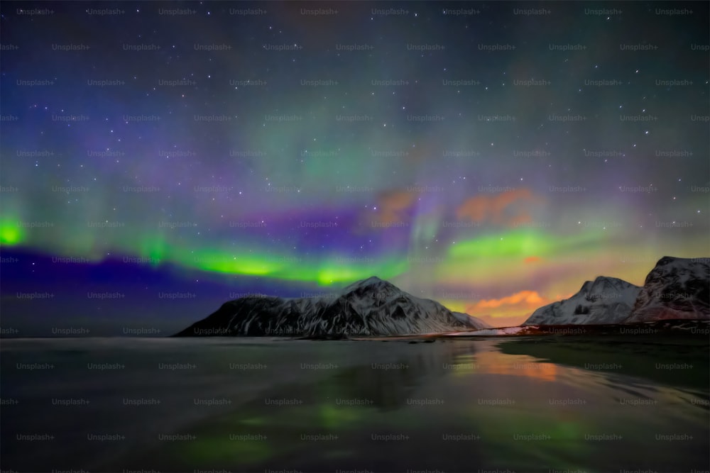 オーロラ・ボレアリス・オーロラがスカグサンデン・ビーチに灯ります。ロフォーテン諸島、ノルウェー