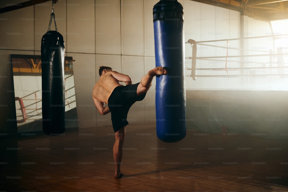 Luchador de complexión musculosa pateando saco de boxeo durante el entrenamiento deportivo en un gimnasio.