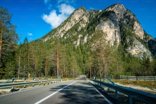 Belle route de montagne avec des arbres, de la forêt et des montagnes en arrière-plan. Photo prise sur la route nationale des Dolomites en Italie.