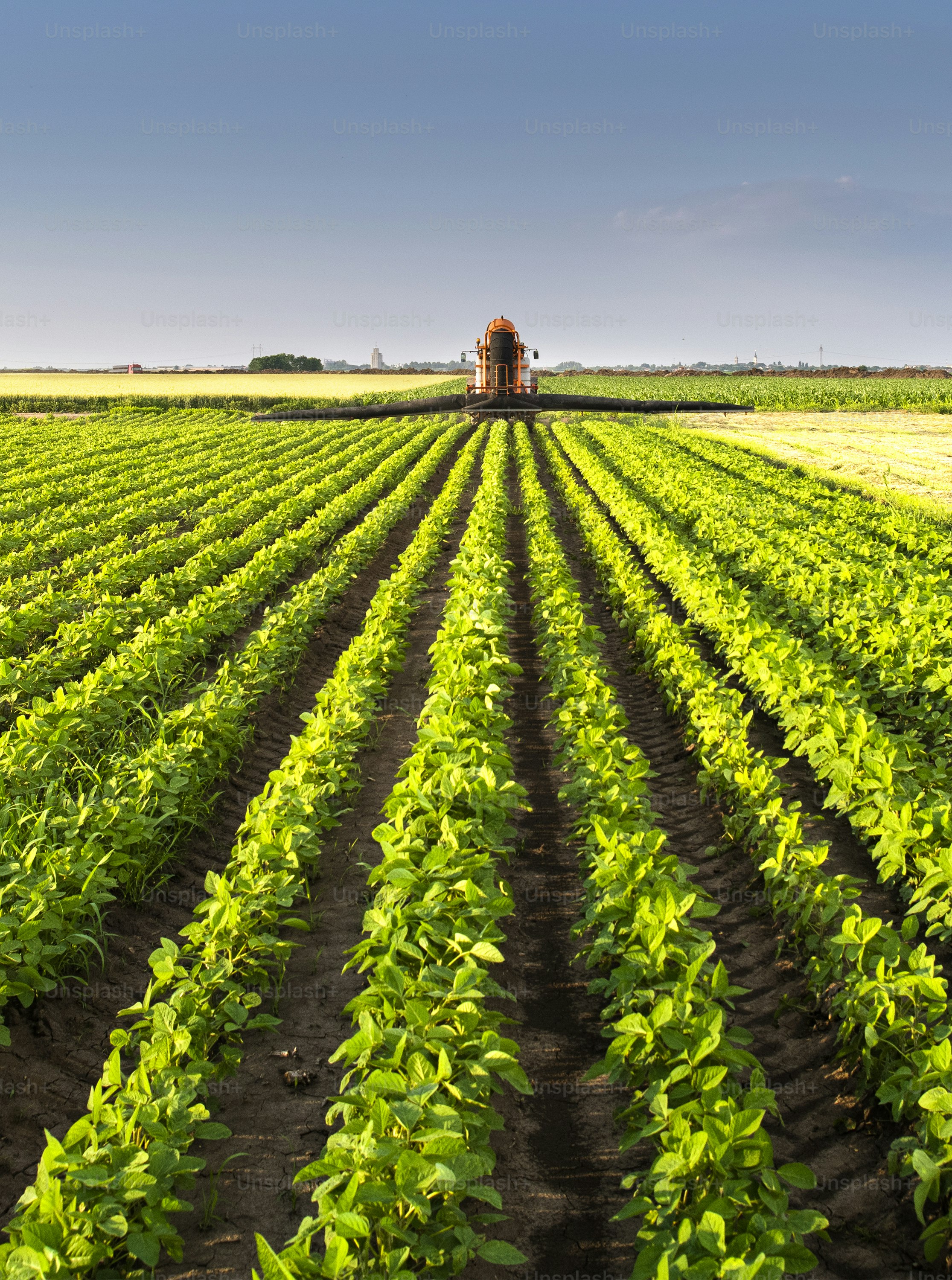 Tractor spraying pesticides on soy field  with sprayer at spring