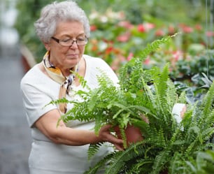 an older woman holding a potted plant in a greenhouse
