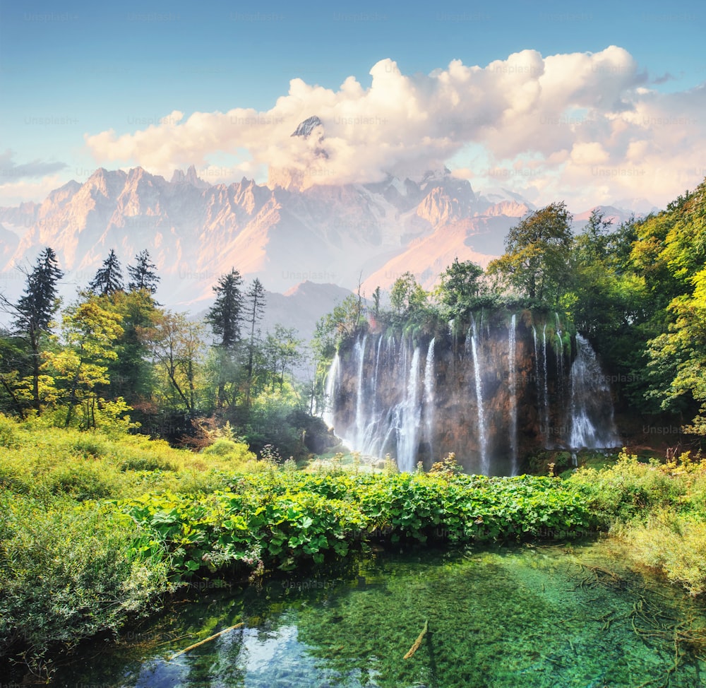 A photo of fishes swimming in a lake, taken in the national park Plitvice Croatia.