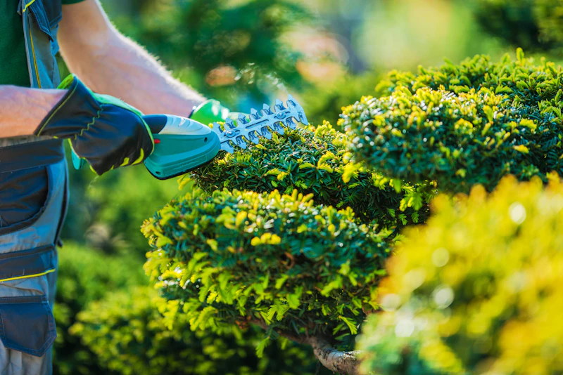 Professional shrub & bush trimming in Siler City, NC