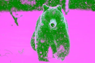 Brown bear running on the snow in the winter forest. Front view. Snowfall. Scientific name:  Ursus arctos. Natural habitat. Winter season.