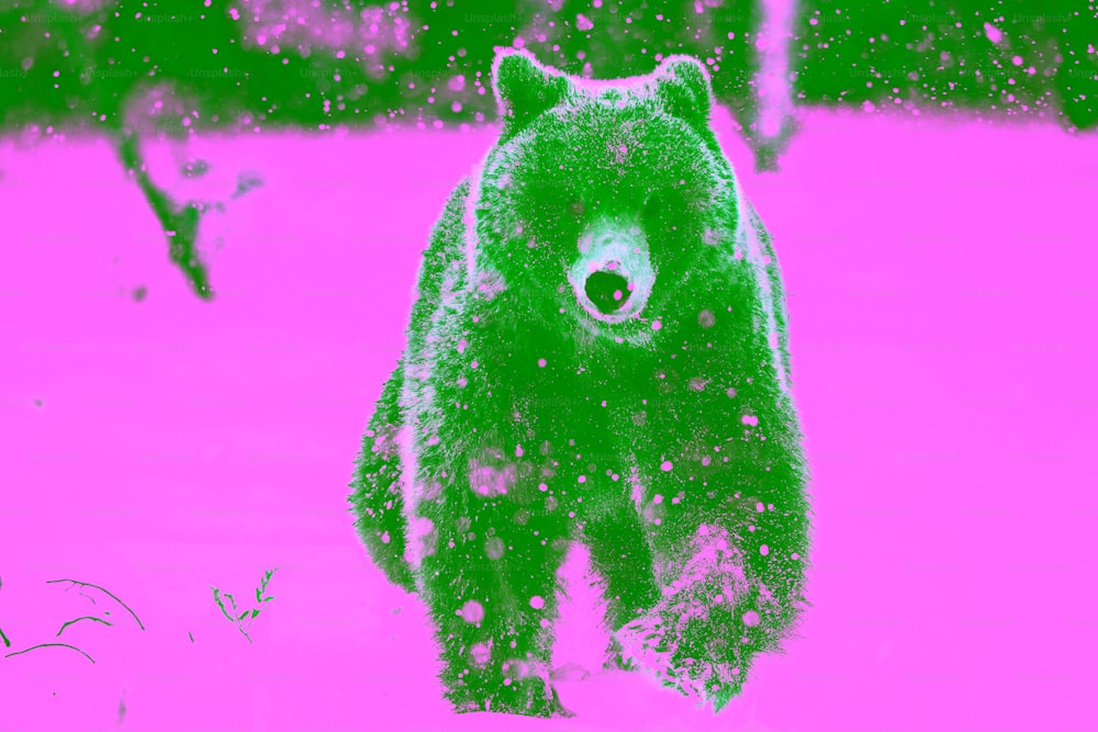 Braunbär läuft auf dem Schnee im Winterwald. Vorderansicht. Schneefall. Wissenschaftlicher Name: Ursus arctos. Natürlicher Lebensraum. Wintersaison.