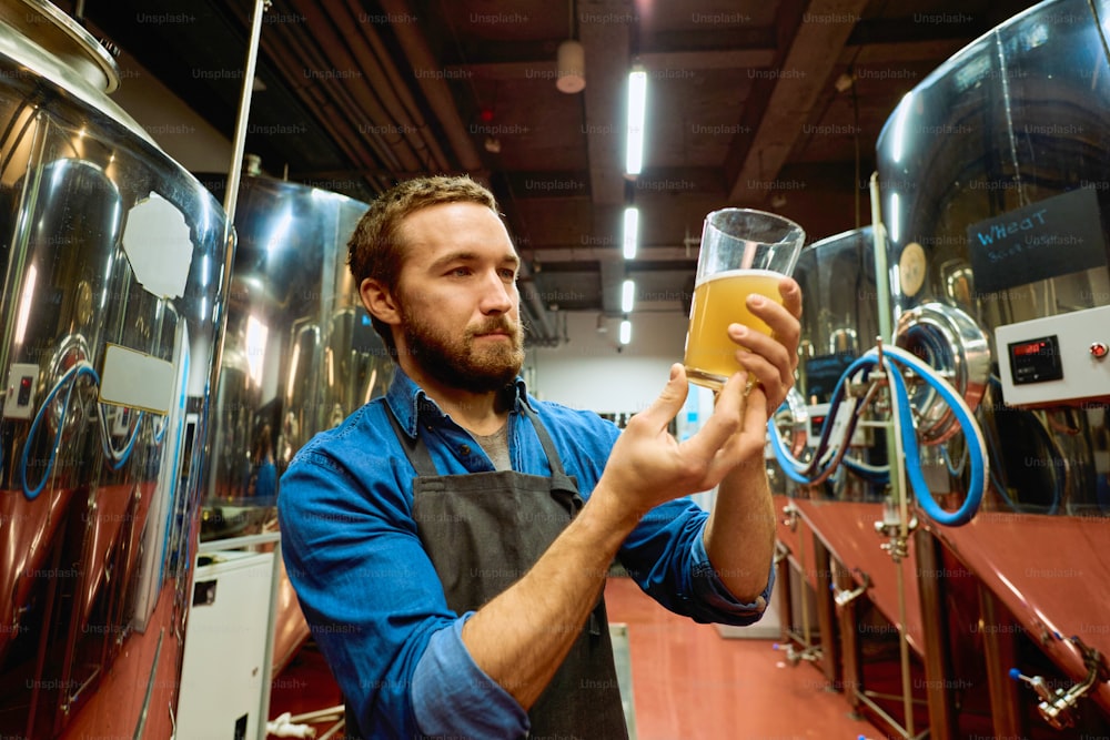Jovem cervejeiro barbudo com copo de cerveja avaliando suas características visuais após a preparação enquanto está em pé na frente da câmera