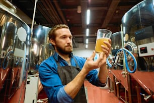 Young bearded brewer with glass of beer evaluating its visual characteristics after preparation while standing in front of camera