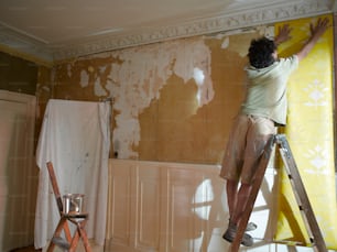 a man is painting the walls of a room