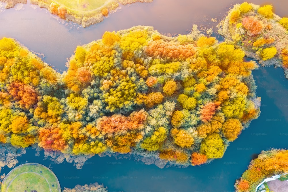 Árboles multicolores brillantes, de color verde, naranja y rojizo. Isla en un estanque en otoño y un hermoso parque, vista aérea de la parte superior