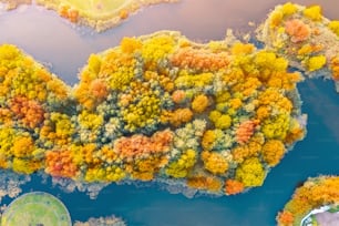 Árboles multicolores brillantes, de color verde, naranja y rojizo. Isla en un estanque en otoño y un hermoso parque, vista aérea de la parte superior