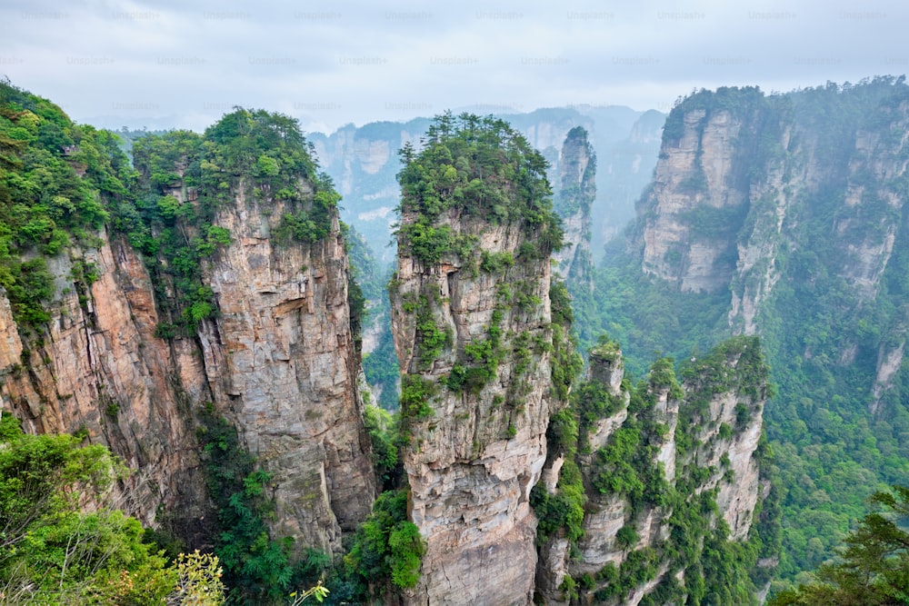 Berühmte Touristenattraktion von China - Avatar Hallelujah Berg in Zhangjiajie Steinsäulen Klippen Berge bei Wulingyuan, Hunan, China