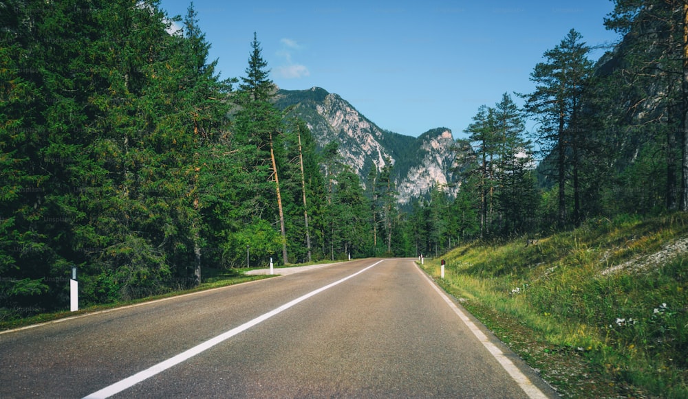 배경에 나무, 숲, 산이 있는 아름다운 산길. 이탈리아 돌로미티 ��산의 주 고속도로 도로에서 촬영.