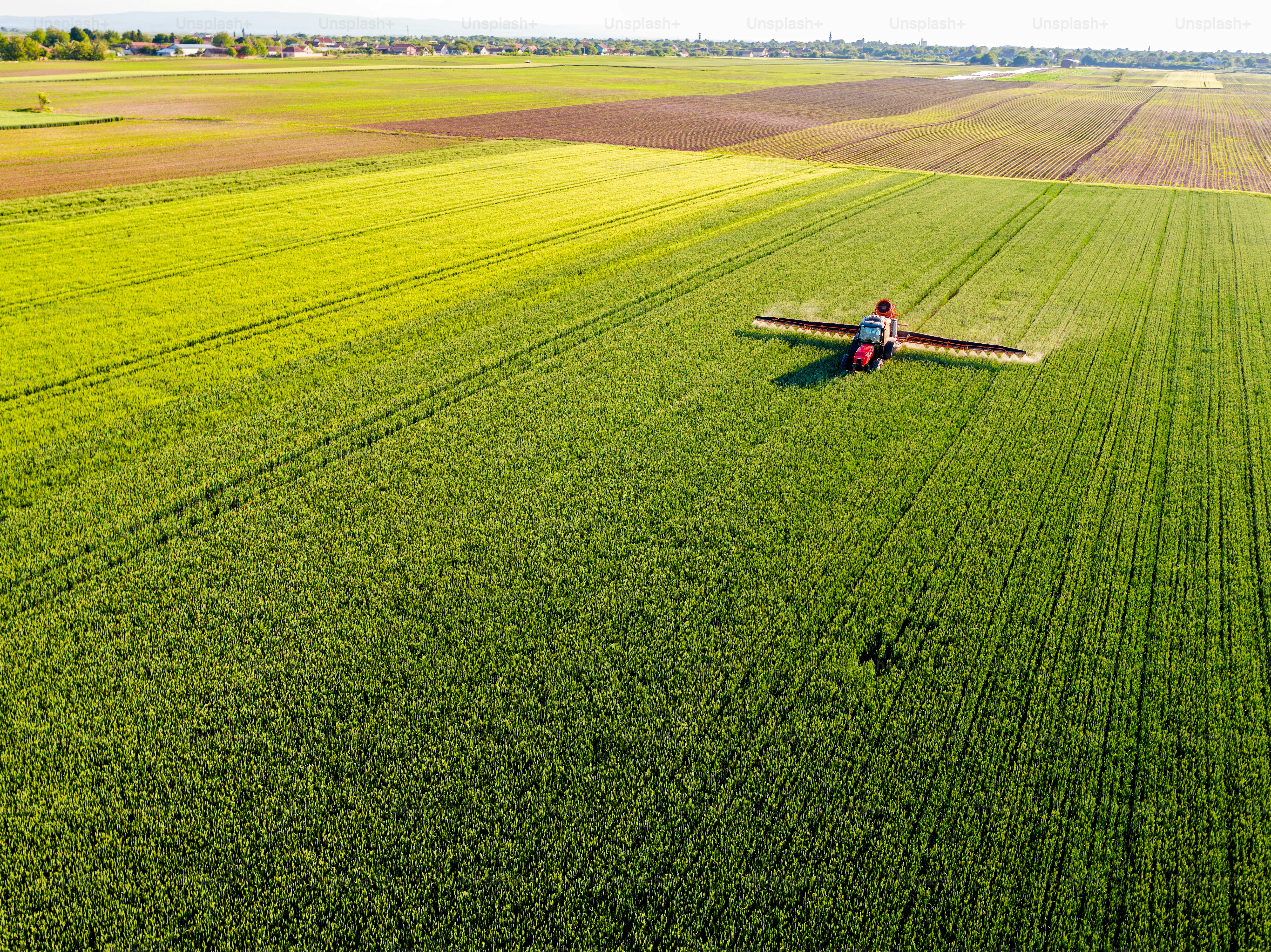 Agricultor pulverizando campo de trigo verde