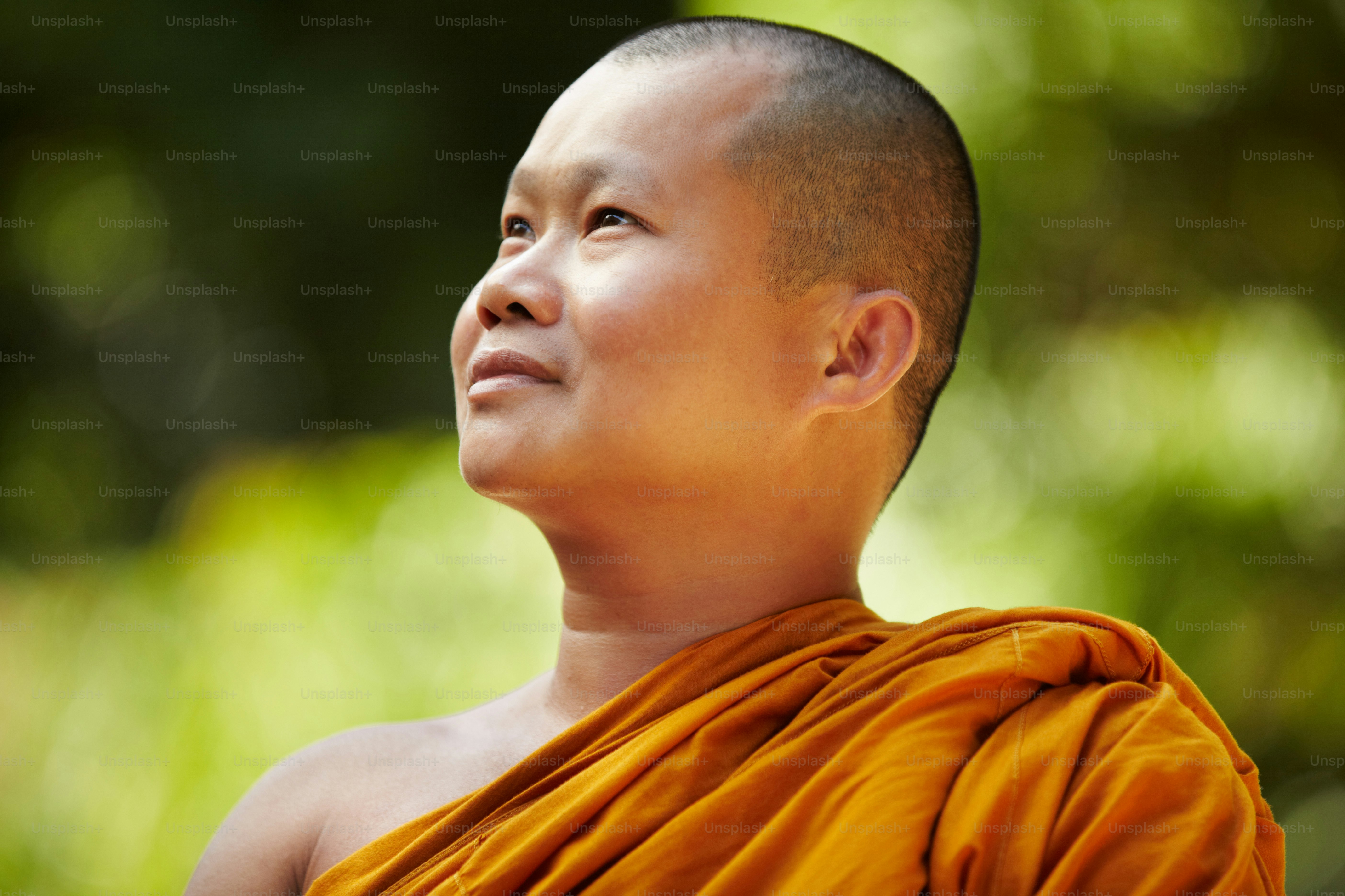 500+ Monk Pictures [HQ] Download Free