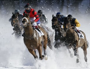 ST MORITZ - 9 DE FEBRERO: Los caballos toman la primera curva en la carrera de velocidad en el White Turf Horse Racing Meet celebrado en el lago congelado en St Moritz, Suiza, el 9 de febrero de 2003.