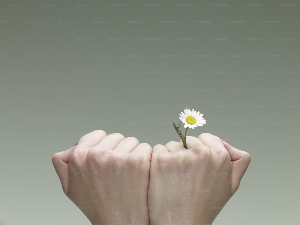 uma pessoa segurando uma flor em suas mãos