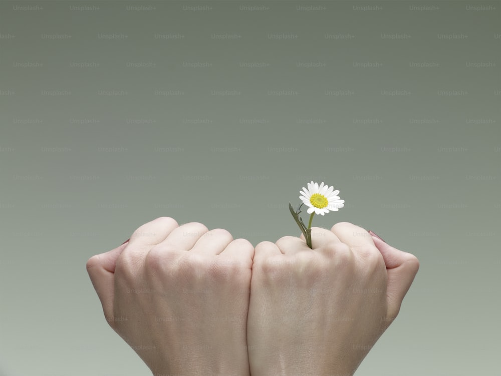 eine Person, die eine Blume in den Händen hält