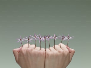a person holding a bunch of tiny purple flowers