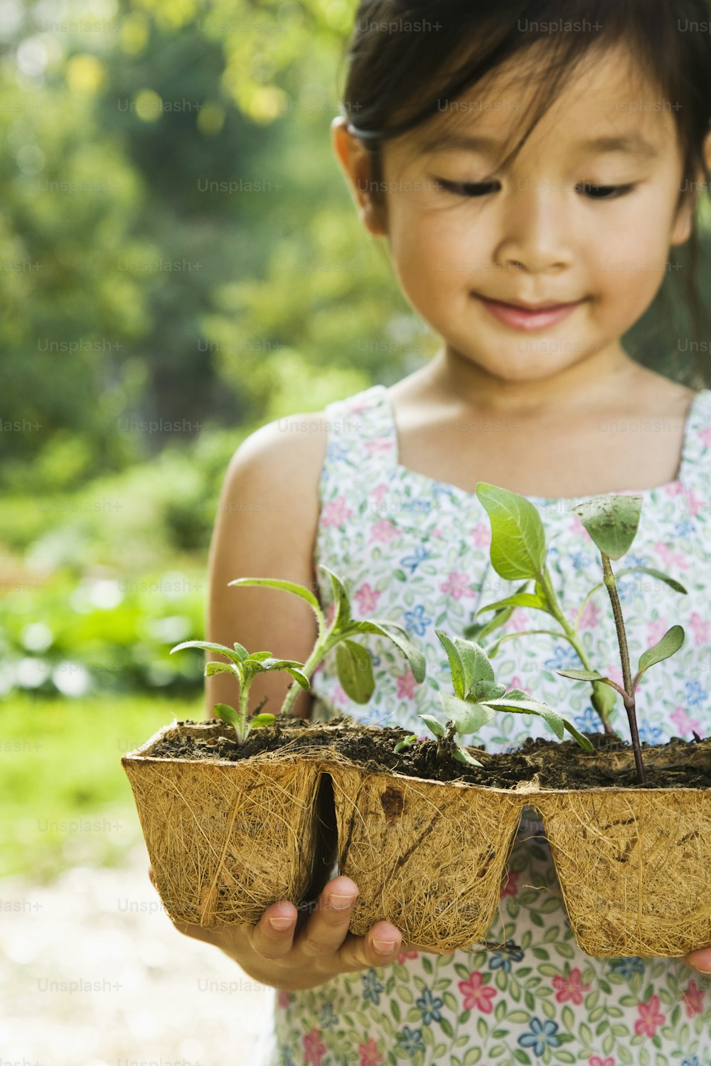 Una niña pequeña sosteniendo una planta en maceta en sus manos