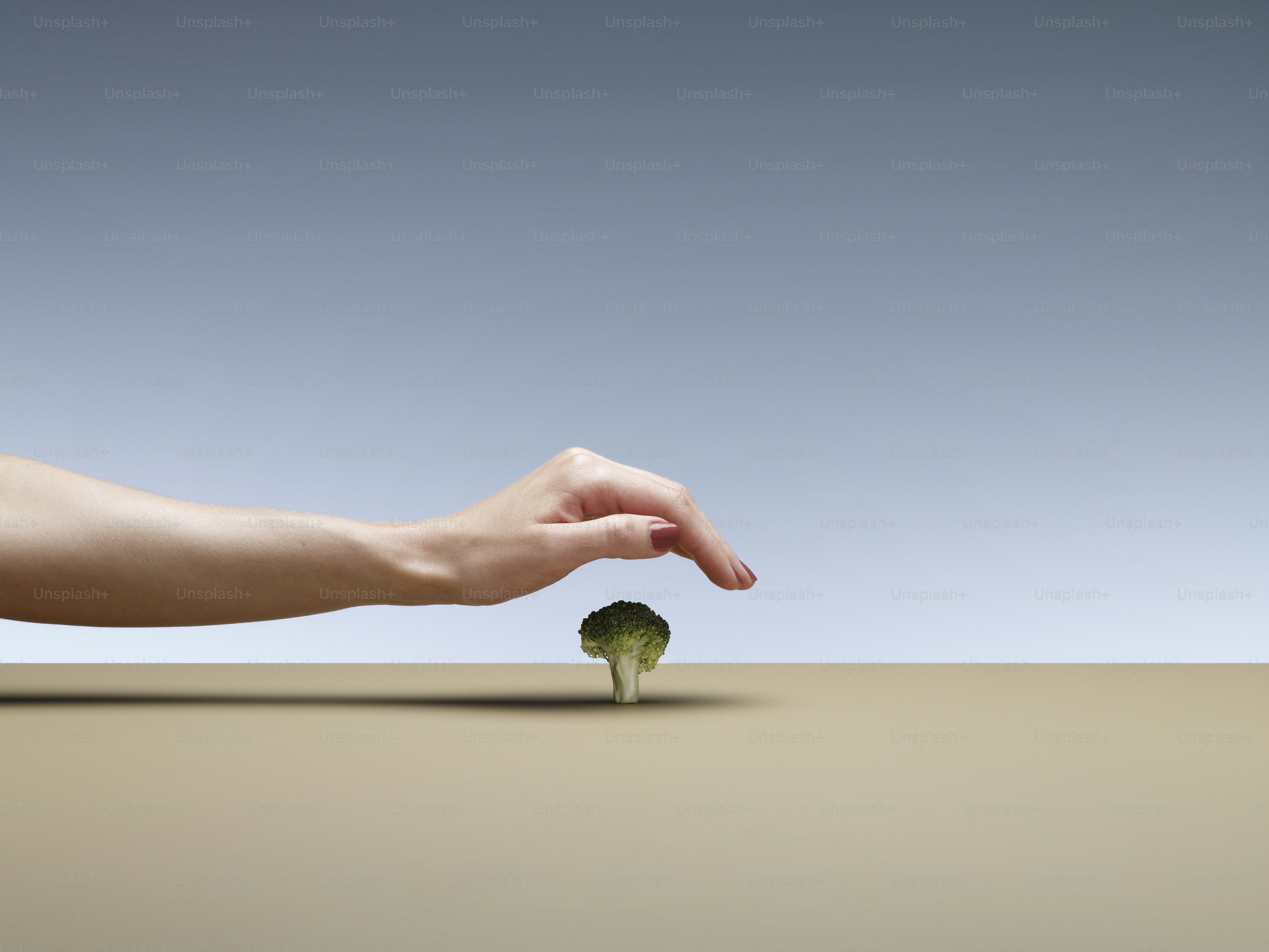 The Art of Slow Living: Cultivating a Life of Intention and Fulfillment