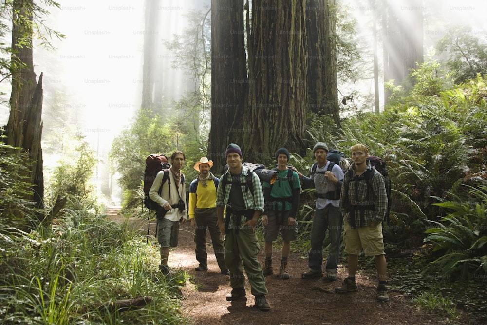un groupe de personnes debout sur un sentier dans les bois