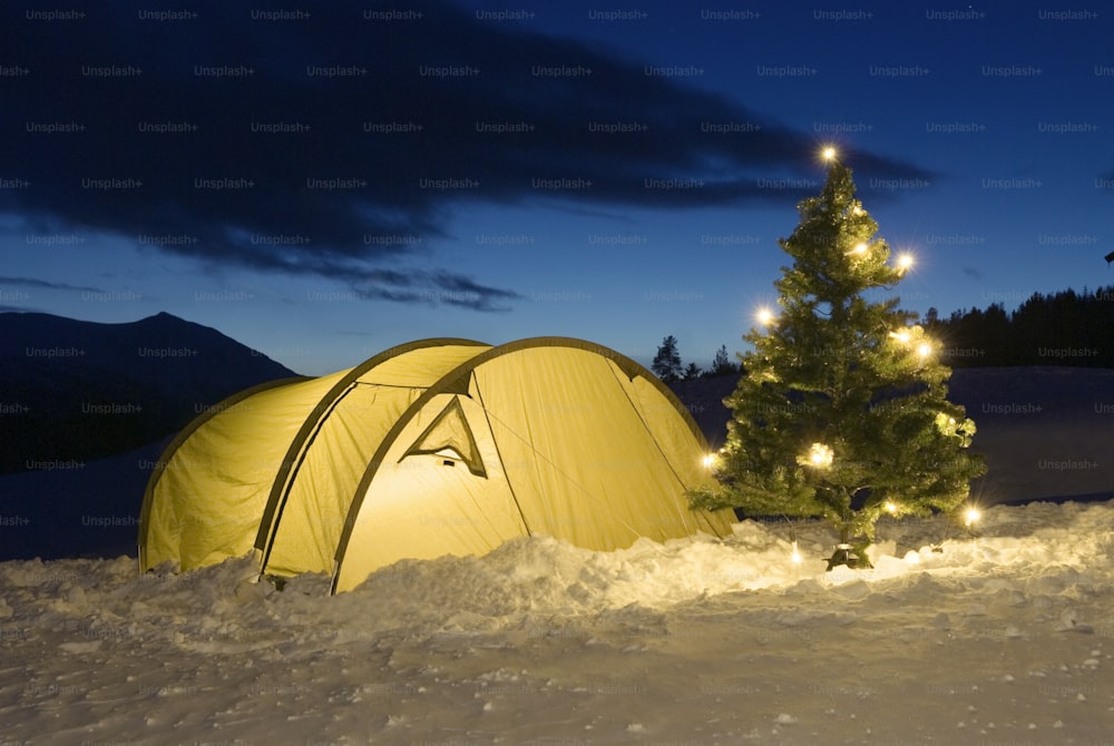 a tent in the snow next to a christmas tree