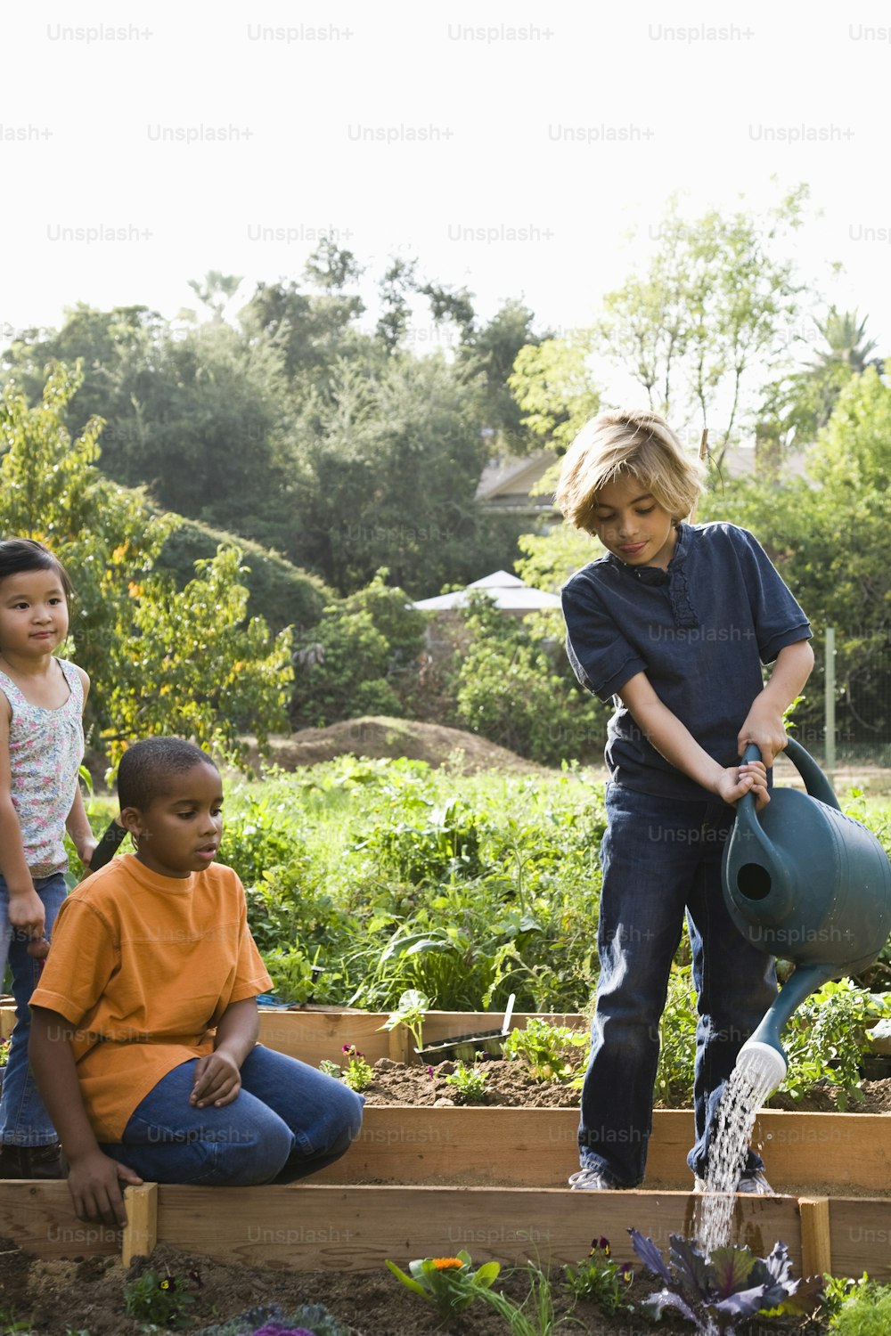 a group of children watering plants in a garden