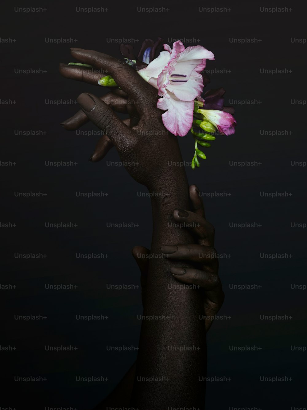 una persona sosteniendo una flor en la mano