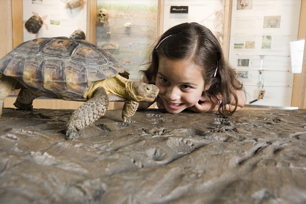 Une petite fille joue avec une tortue