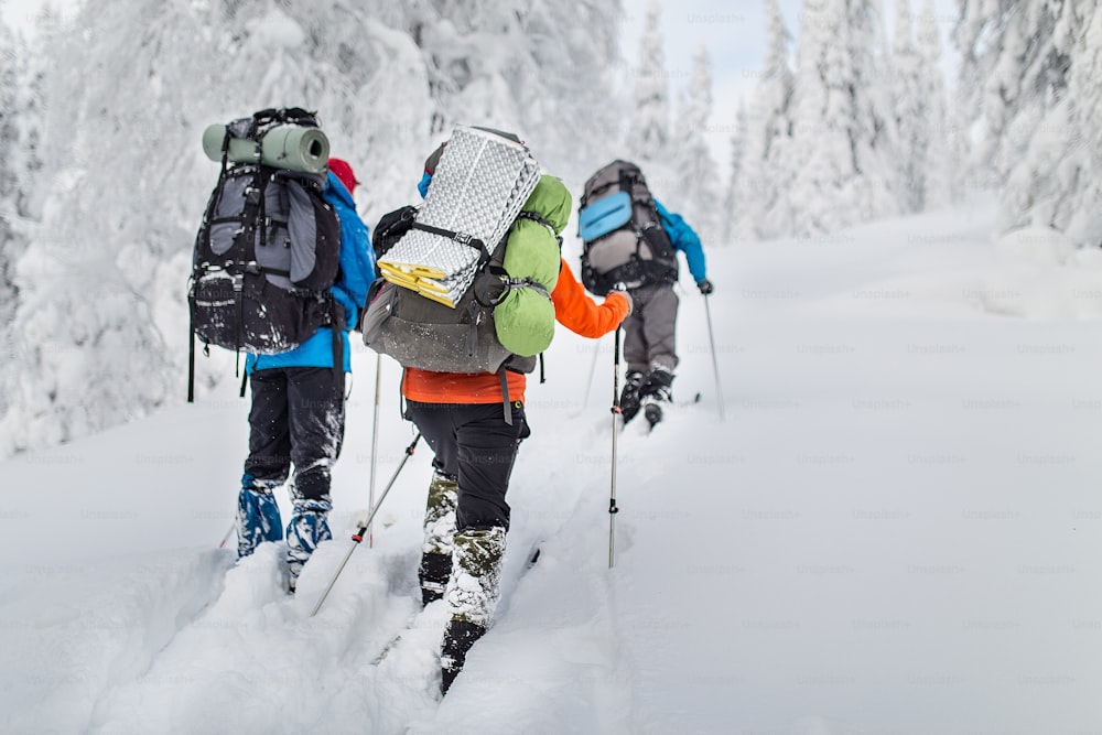 Gruppenwanderer mit Rucksäcken und Skiern wandern auf einem verschneiten Wald in den Bergen des Urals