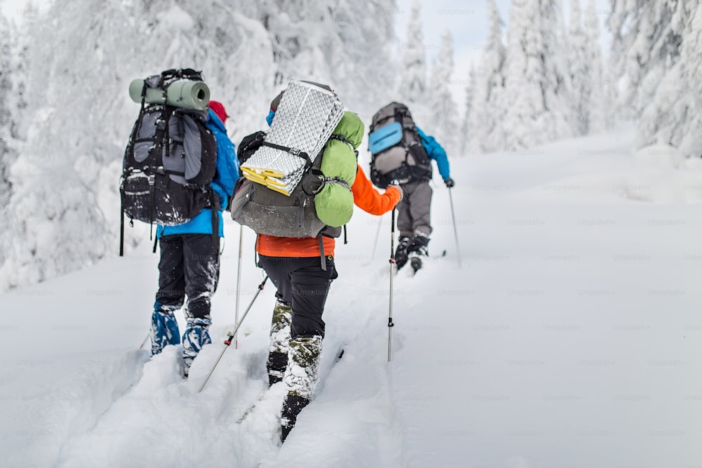 group hikers with backpacks and skis walk on a snow-covered forest in the mountains of the Urals
