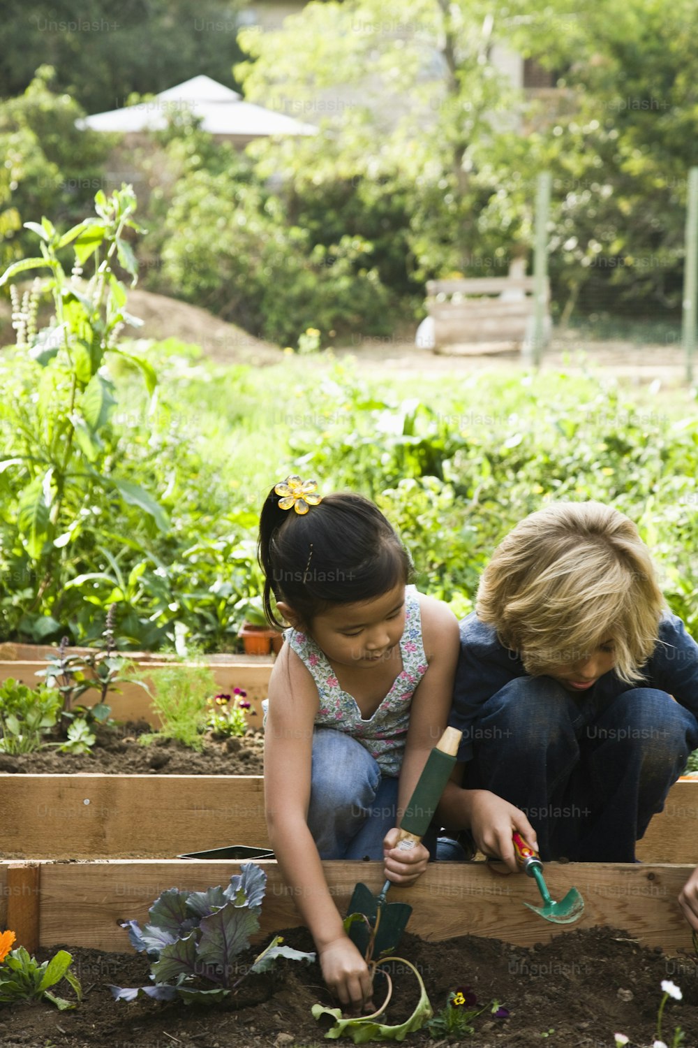 Dos niños están en un jardín con plantas