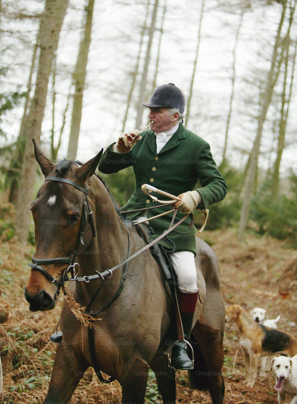 GLOUCESTERSHIRE, INGLATERRA - 26 DE DICIEMBRE: Un hombre toca un cuerno durante la tradicional caza de zorros y sabuesos en el día de San Esteban, el 26 de diciembre de 2003 en Gloucestershire, Inglaterra. A pesar de la lluvia, muchos partidarios del campo salieron a apoyar la caza, una tradición controvertida en el campo de Inglaterra. Un proyecto de ley que decide el futuro de la caza se encuentra actualmente en el Parlamento inglés.