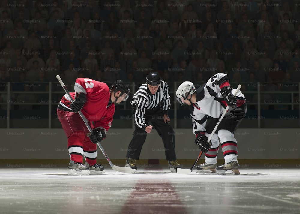 Eine Gruppe von Leuten, die eine Partie Eishockey spielen