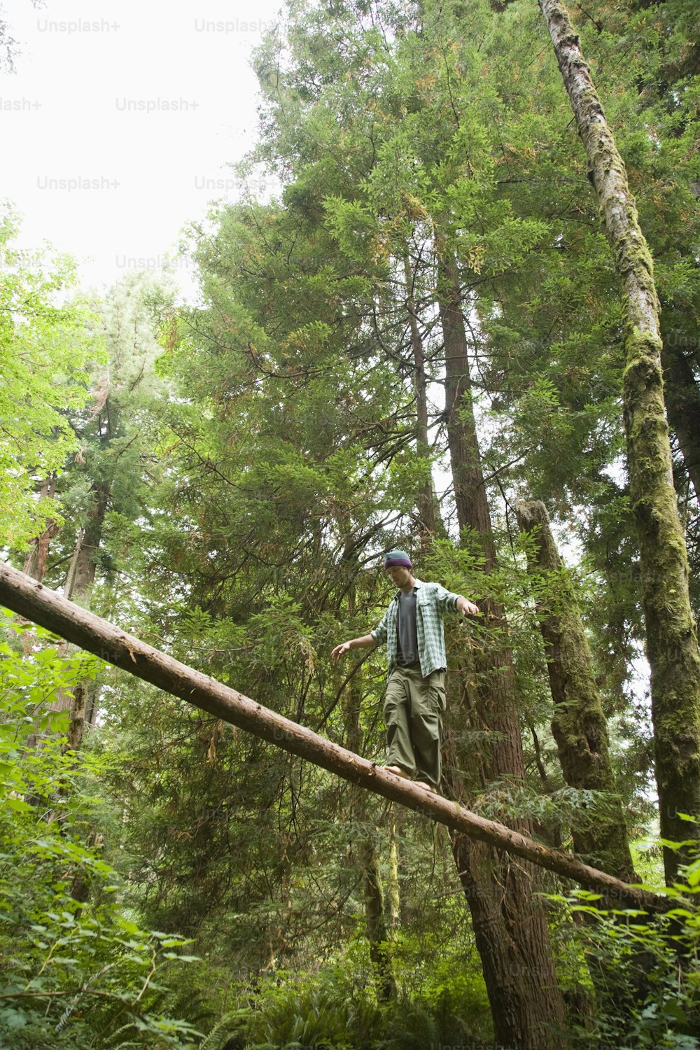 um homem caminhando através de uma árvore caída em uma floresta