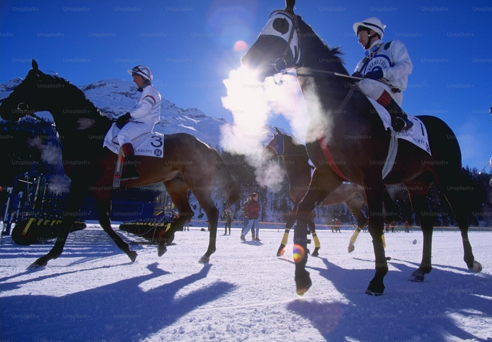 3 Feb 1997:  Horse racing on snow at St. Moritz in Switzerland.