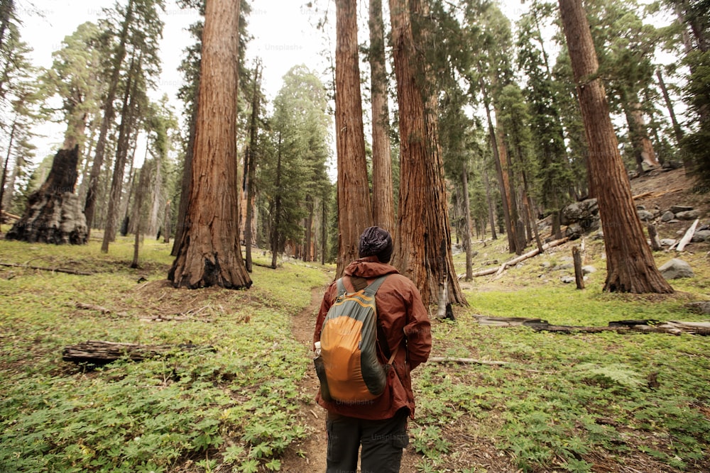 Hombre en el parque nacional Sequoia en California, EE. UU.