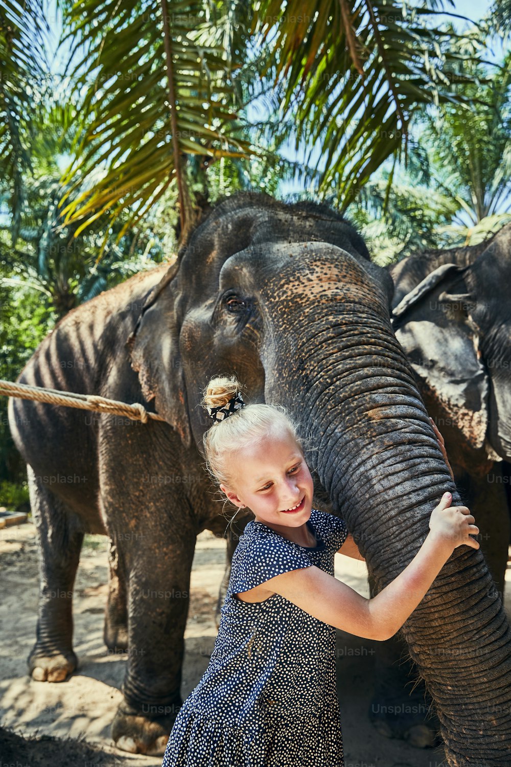 Cute little girl smiling while hugging the trunk of an Asian elephant at an animal sanctuary in Thailand
