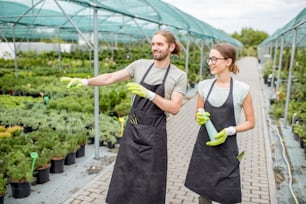 Young couple of workers in uniform supervising plants in the greenhouse