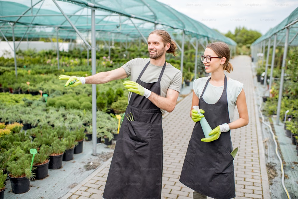 Joven pareja de trabajadores uniformados supervisando plantas en el invernadero