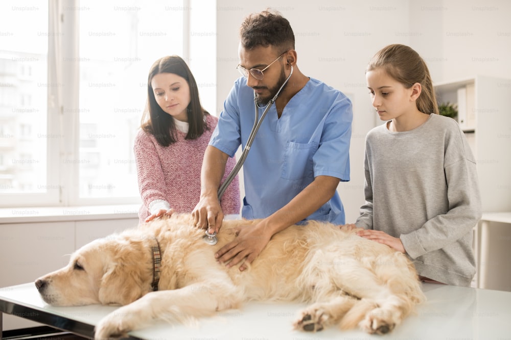 Junger Tierarzt in Uniform, der einen kranken Hund mit Stethoskop untersucht, wobei seine Besitzer in der Nähe stehen