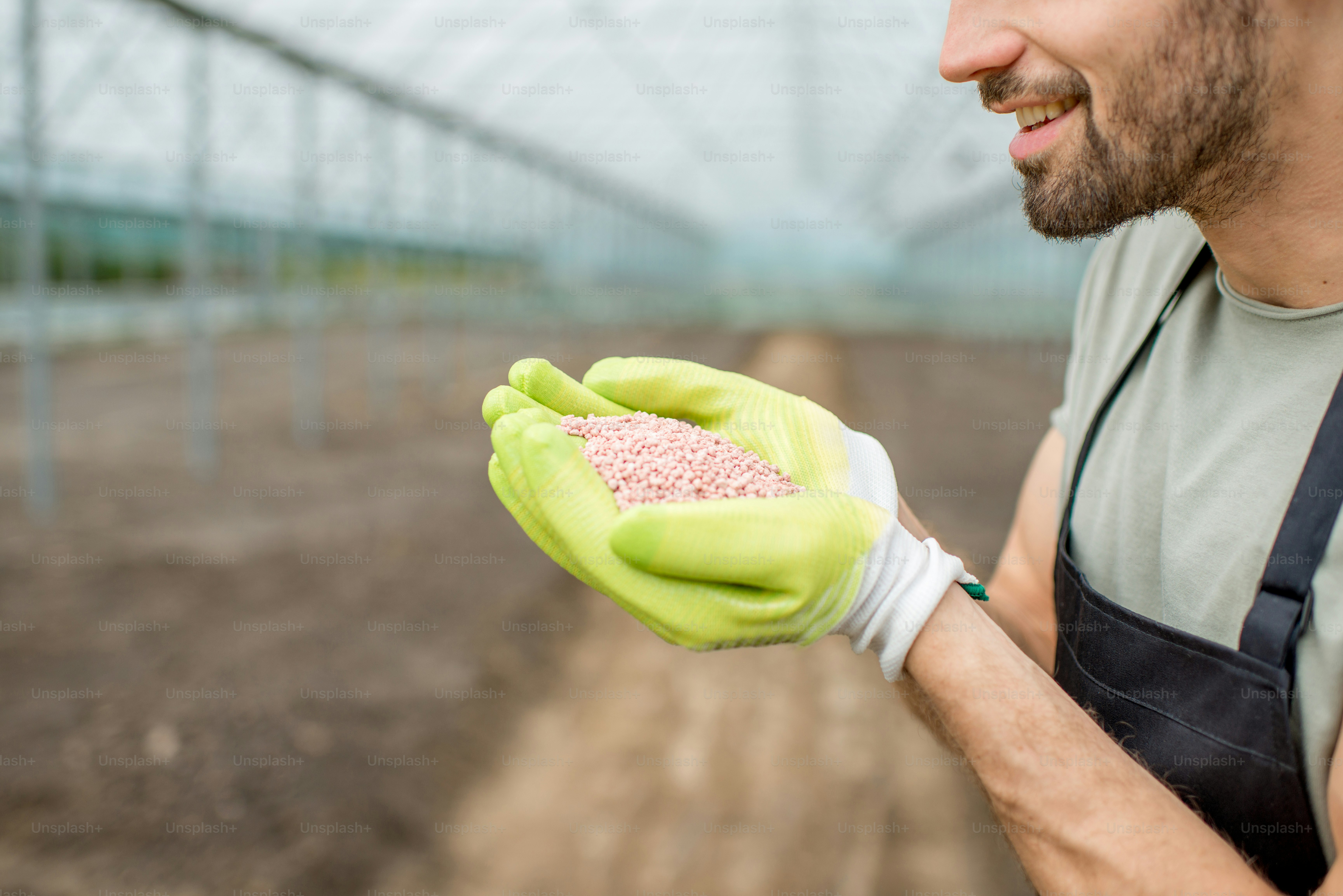 Farmer holding mineral fertilizers in the glasshouse with cultivated soil ready for fertilization