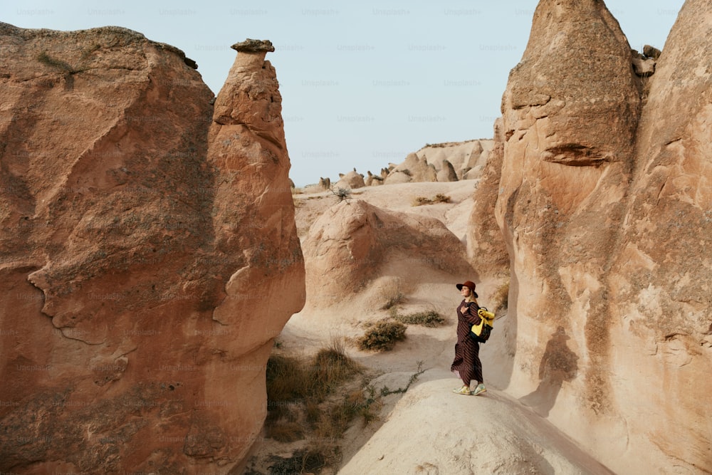 Donna in viaggio, esplorando la natura della valle delle rocce. Viaggiatore femminile che viaggia al Desert Canyon. Alta risoluzione