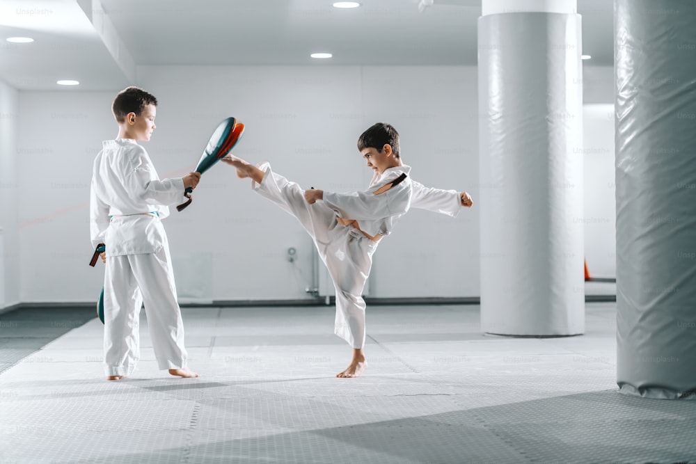 Two young Caucasian boys in doboks having taekwondo training at gym. One boy kicking while other one holding kick target.