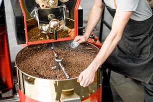 Man checking the quality of the coffee beans standing with scoop near the roaster machine at the roastery