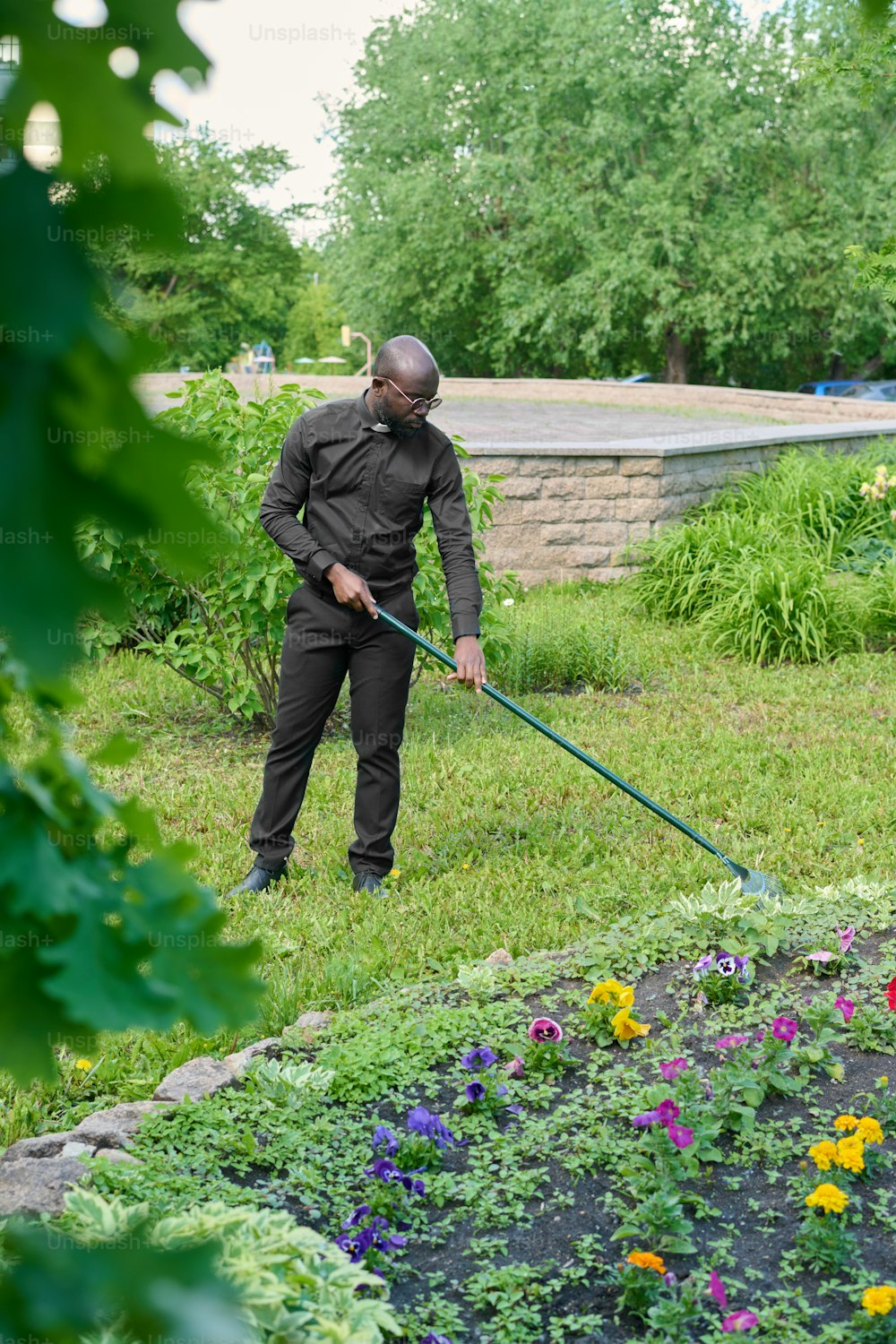Young African American pastor in black pants and shirt with clerical collar working with rake in the garden or backyard by church building