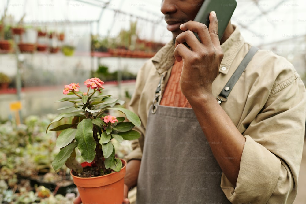 Nahaufnahme eines Arbeiters in Uniform, der Blumen im Topf für den Kunden trägt und während der Arbeit im Blumenladen telefoniert